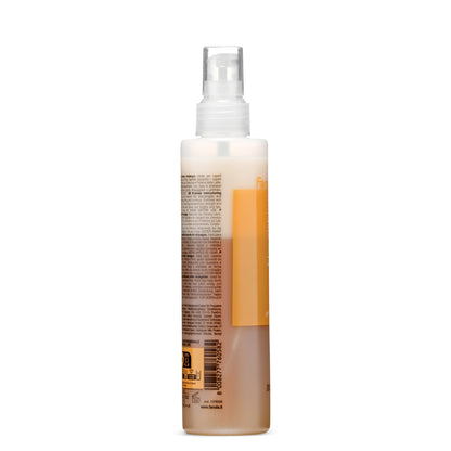 Fanola GB Bi-phase Restructuring Hair Spray for Frizzy & Treated Hair, No Rinse