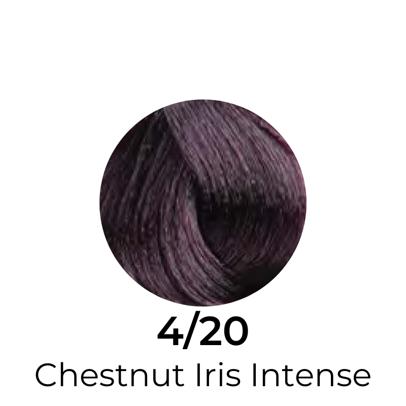 4/20 Chestnut Iris Intense hair color swatch, deep purple-brown shade for salon or home use
