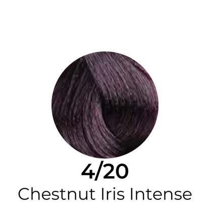 4/20 Chestnut Iris Intense hair color swatch, deep purple-brown shade for salon or home use