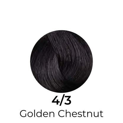 Golden Chestnut 4/3 hair color swatch, rich dark brown tone for professional beauty use
