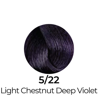 5/22 Light Chestnut Deep Violet hair color swatch for beauty styling