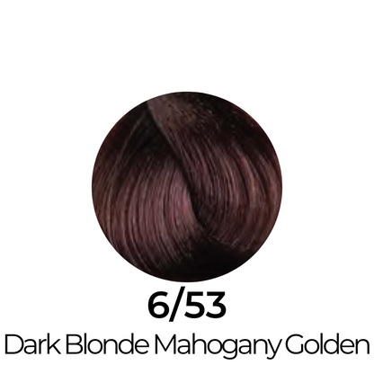 Dark Blonde Mahogany Golden hair color swatch 6/53 for salon or home use