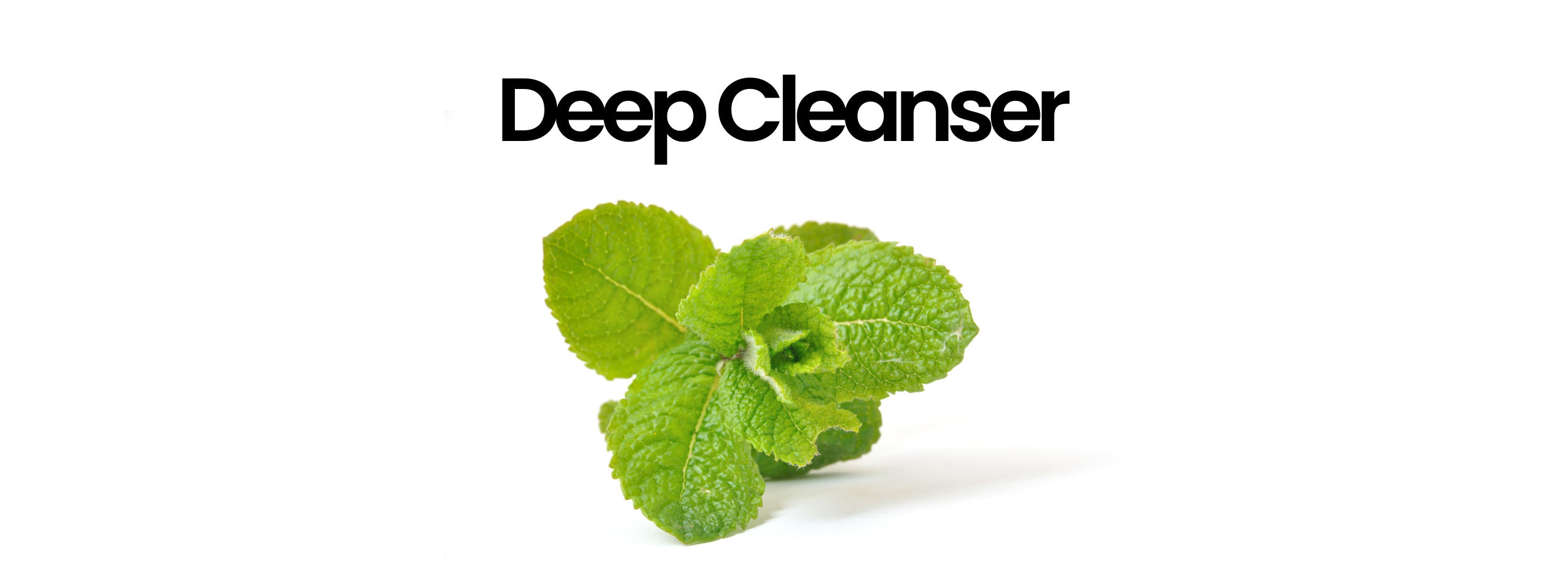 Fresh mint leaves for deep cleanser skincare product