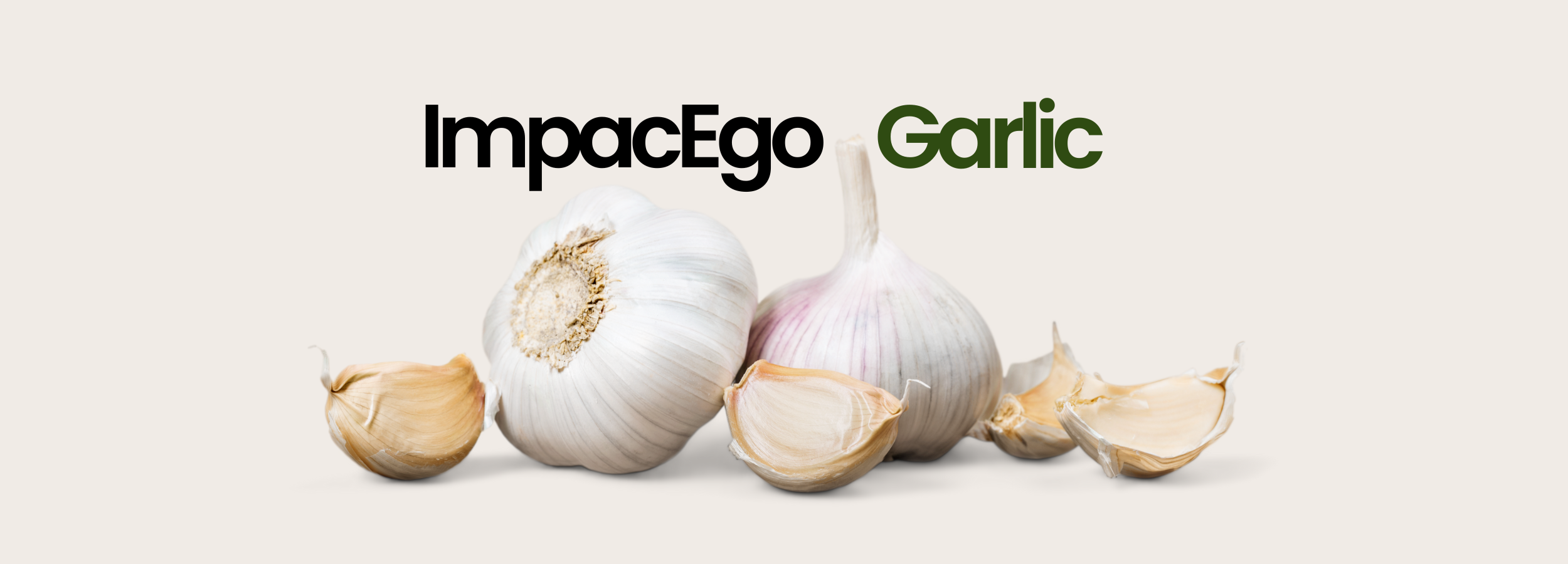 Fresh garlic bulbs and cloves with ImpacEgo Garlic text, natural ingredient for beauty and wellness