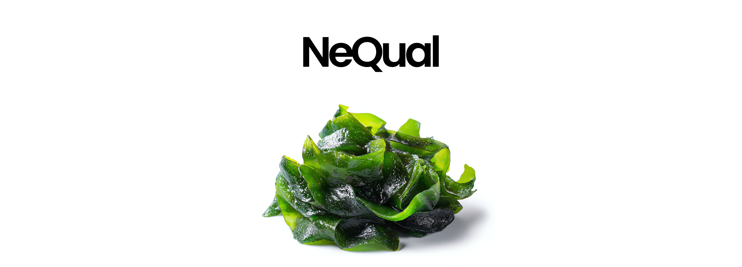 Fresh green seaweed with NeQual brand text, natural skincare ingredient for beauty products