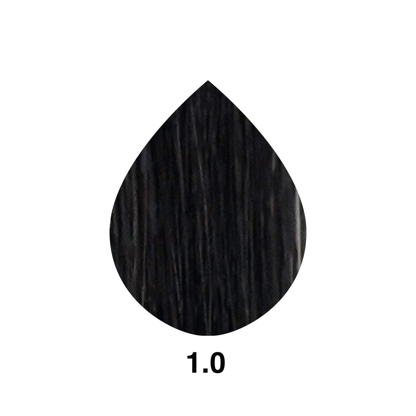 Hair color swatch 1.0, deep black shade for professional beauty use