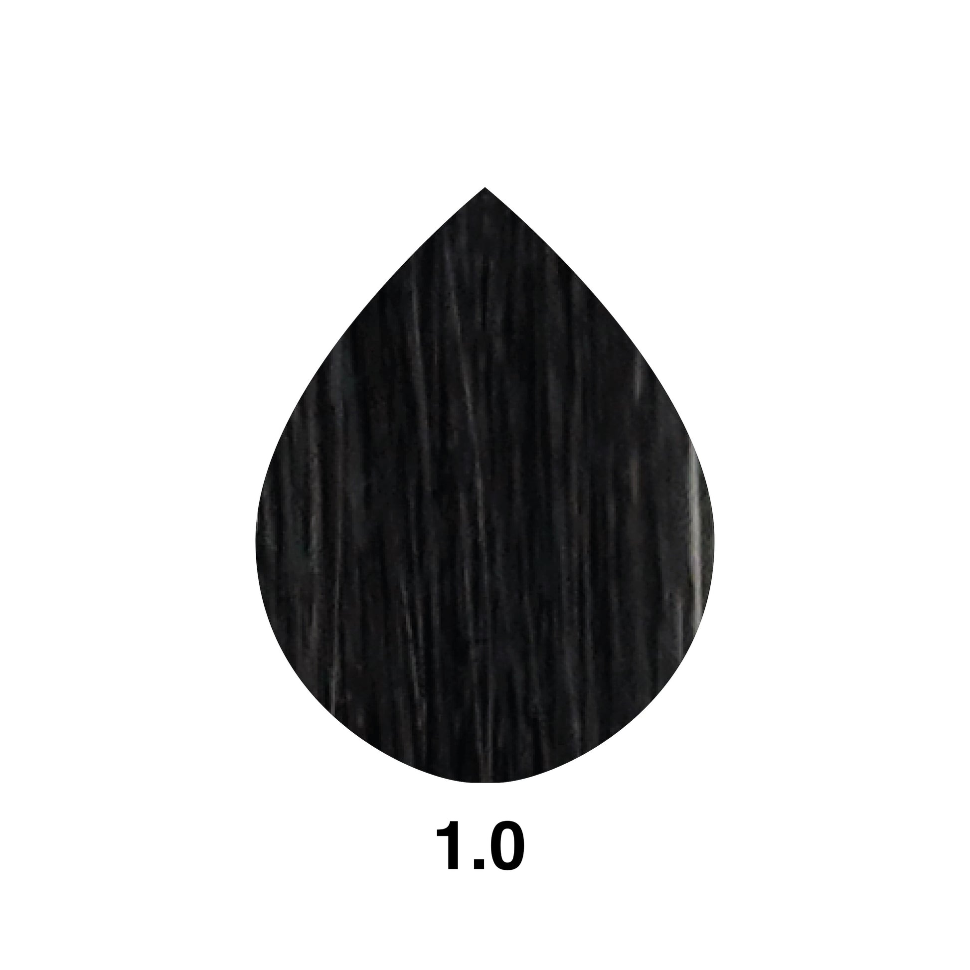 Hair color swatch 1.0, deep black shade for professional beauty use