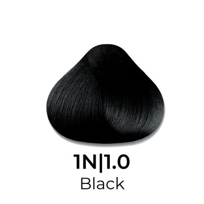 1N|1.0 Black hair dye swatch, deep jet black shade for salon color treatments