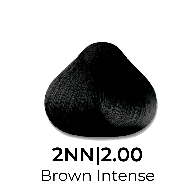 Intense Brown Hair Color Swatch 2NN|2.00 for Beauty Styling