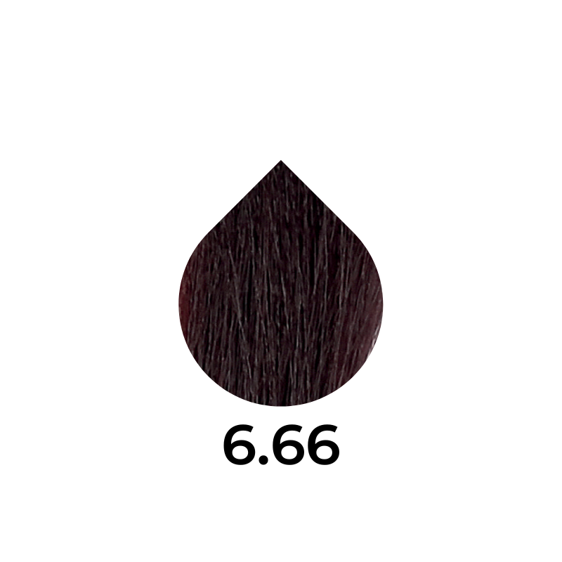 Dark brown hair color swatch labeled 6.00, showcasing rich tone for beauty products