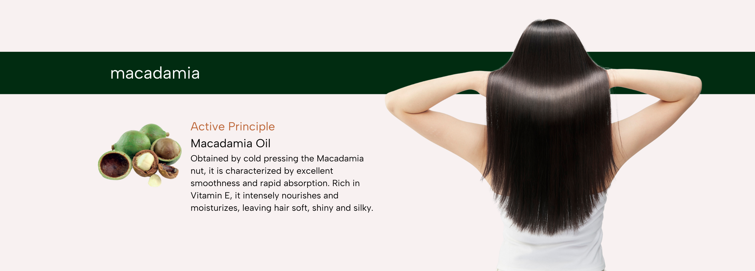 Shiny, smooth hair nourished by macadamia oil, with macadamia nuts shown as active ingredient